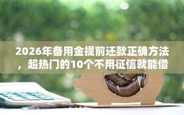2026年备用金提前还款正确方法，超热门的10个不用征信就能借钱的平台推荐