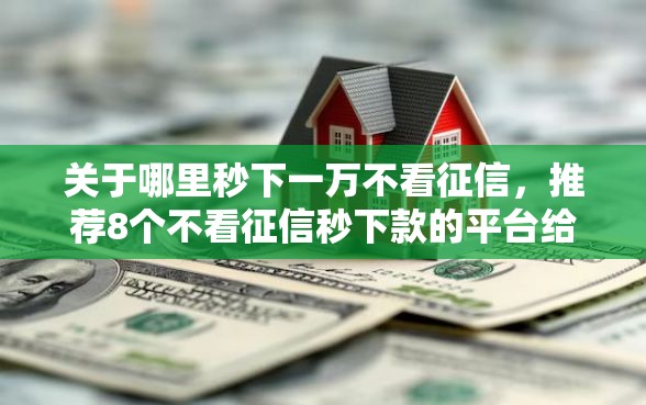 关于哪里秒下一万不看征信,推荐8个不看征信秒下款的平台给你 关于哪里秒下一万不看征信,推荐8个不看征信秒下款的平台给你
