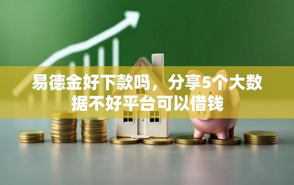 易德金好下款吗，分享5个大数据不好平台可以借钱