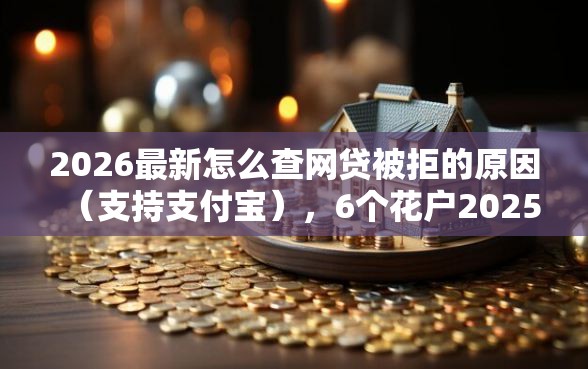 2026最新怎么查网贷被拒的原因（支持支付宝），6个花户2025能下款的口子无私分享