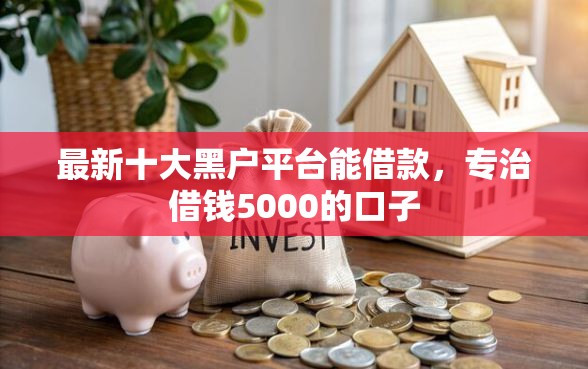 最新十大黑户平台能借款，专治借钱5000的口子