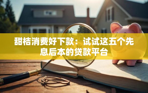 甜桔消费好下款：试试这五个先息后本的贷款平台