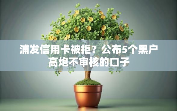 浦发信用卡被拒？公布5个黑户高炮不审核的口子