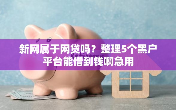 新网属于网贷吗？整理5个黑户平台能借到钱啊急用