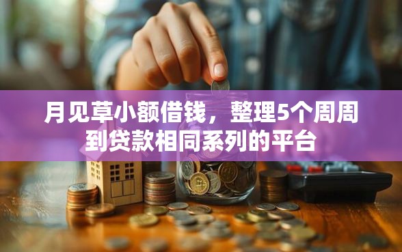 月见草小额借钱，整理5个周周到贷款相同系列的平台