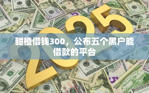 甜橙借钱300，公布五个黑户能借款的平台