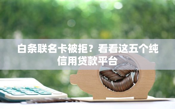 白条联名卡被拒？看看这五个纯信用贷款平台
