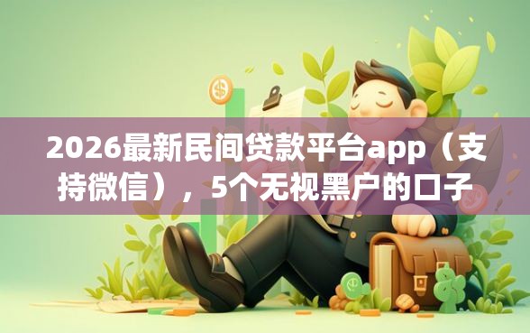 2026最新民间贷款平台app（支持微信），5个无视黑户的口子无私分享
