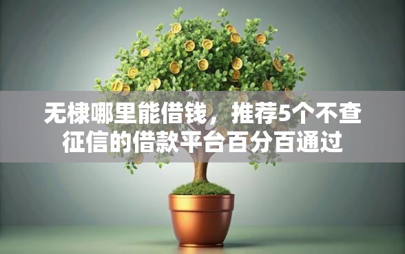 无棣哪里能借钱，推荐5个不查征信的借款平台百分百通过