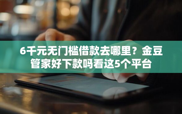 6千元无门槛借款去哪里？金豆管家好下款吗看这5个平台