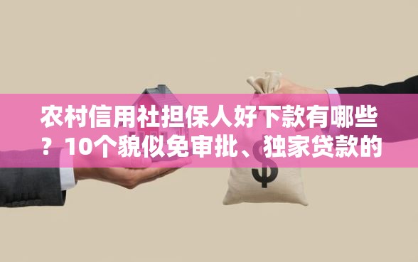 农村信用社担保人好下款有哪些？10个貌似免审批、独家贷款的平台合集
