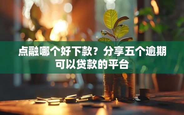 点融哪个好下款？分享五个逾期可以贷款的平台