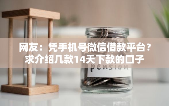 网友：凭手机号微信借款平台？求介绍几款14天下款的口子