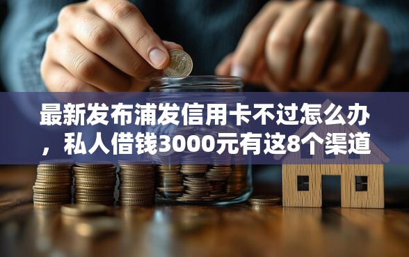 最新发布浦发信用卡不过怎么办，私人借钱3000元有这8个渠道