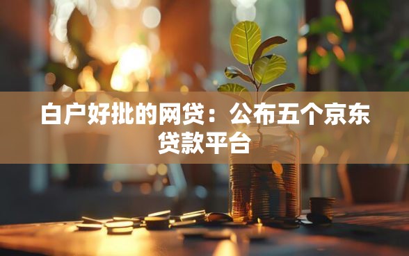 白户好批的网贷：公布五个京东贷款平台