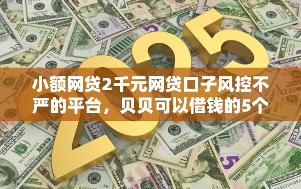 小额网贷2千元网贷口子风控不严的平台，贝贝可以借钱的5个平台介绍