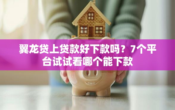 翼龙贷上贷款好下款吗？7个平台试试看哪个能下款