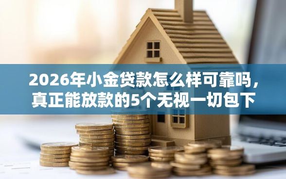 2026年小金贷款怎么样可靠吗，真正能放款的5个无视一切包下款5000秒下款的平台推荐
