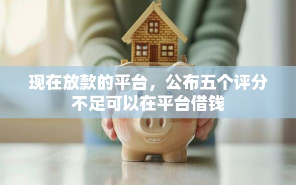 现在放款的平台，公布五个评分不足可以在平台借钱