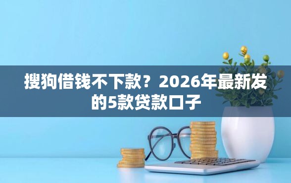 搜狗借钱不下款？2026年最新发的5款贷款口子