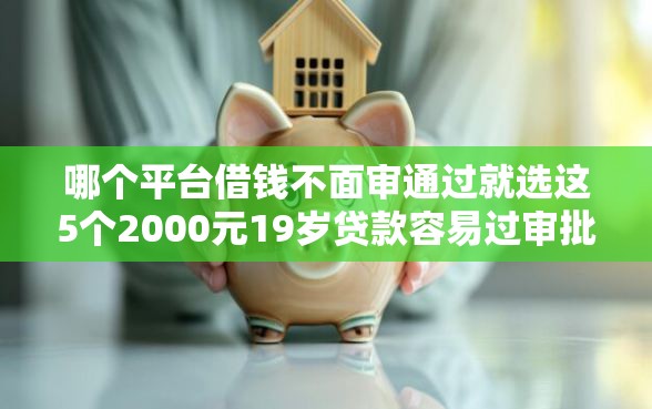 哪个平台借钱不面审通过就选这5个2000元19岁贷款容易过审批的口子