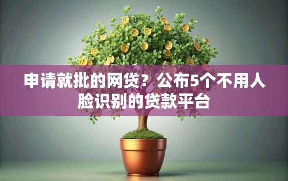 申请就批的网贷？公布5个不用人脸识别的贷款平台