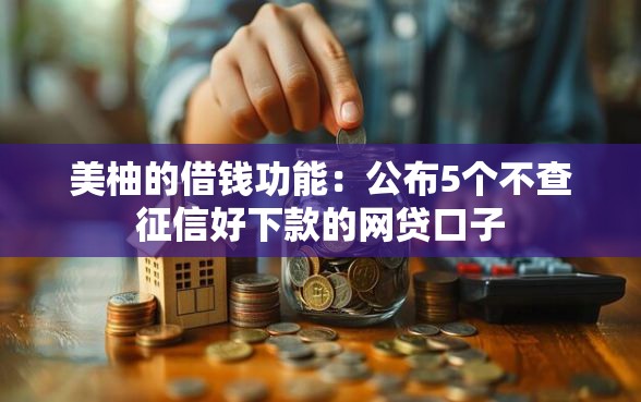 美柚的借钱功能：公布5个不查征信好下款的网贷口子