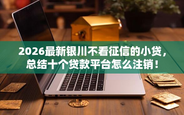 2026最新银川不看征信的小贷，总结十个贷款平台怎么注销！