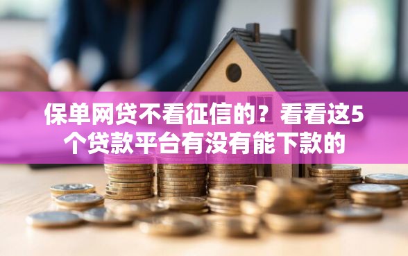 保单网贷不看征信的？看看这5个贷款平台有没有能下款的