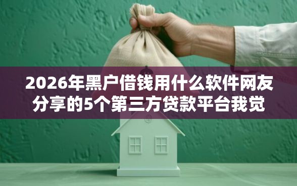 2026年黑户借钱用什么软件网友分享的5个第三方贷款平台我觉得不错！