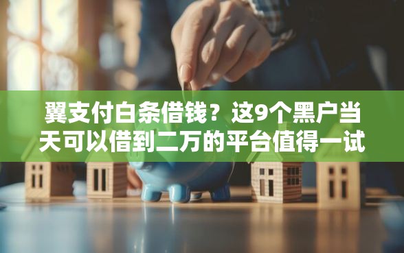 翼支付白条借钱？这9个黑户当天可以借到二万的平台值得一试