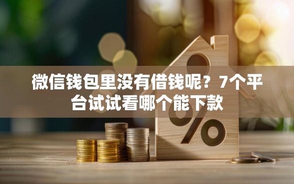 微信钱包里没有借钱呢？7个平台试试看哪个能下款