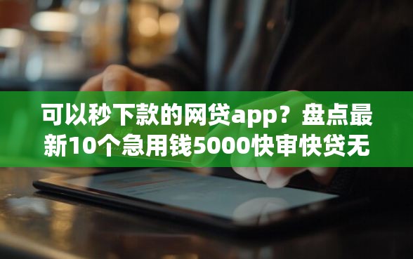 可以秒下款的网贷app？盘点最新10个急用钱5000快审快贷无需征信app