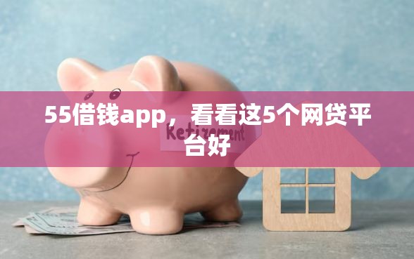 55借钱app，看看这5个网贷平台好