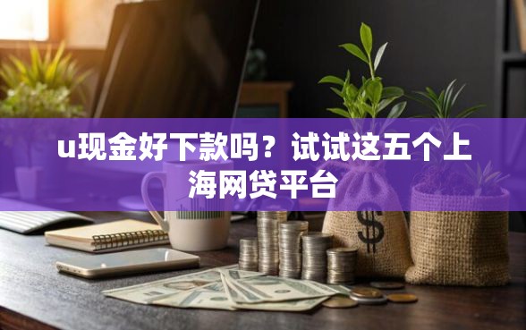 u现金好下款吗？试试这五个上海网贷平台