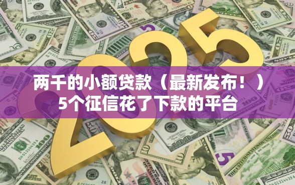 两千的小额贷款（最新发布！）5个征信花了下款的平台