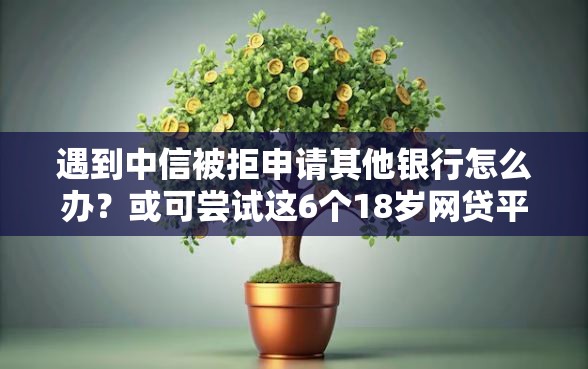 遇到中信被拒申请其他银行怎么办？或可尝试这6个18岁网贷平台