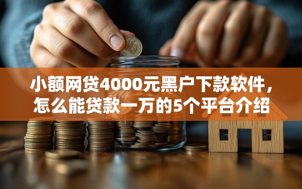 小额网贷4000元黑户下款软件，怎么能贷款一万的5个平台介绍