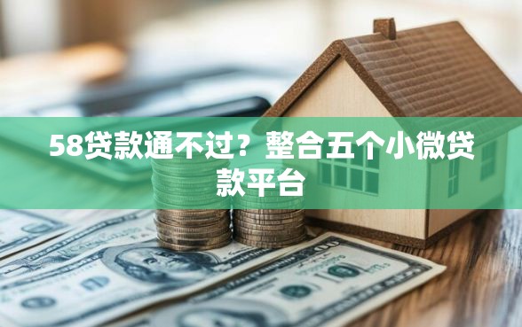 58贷款通不过？整合五个小微贷款平台