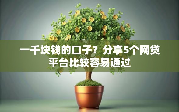 一千块钱的口子？分享5个网贷平台比较容易通过