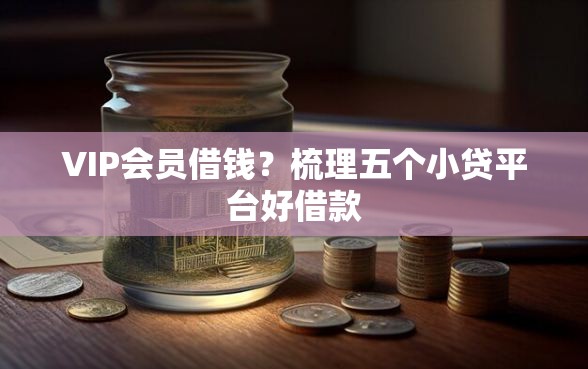 VIP会员借钱？梳理五个小贷平台好借款
