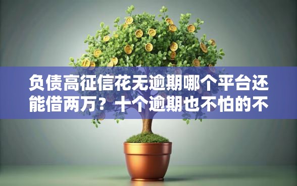 负债高征信花无逾期哪个平台还能借两万？十个逾期也不怕的不用芝麻分能借的口子