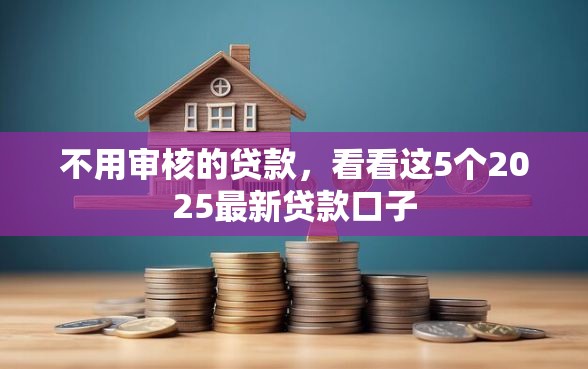 不用审核的贷款，看看这5个2025最新贷款口子