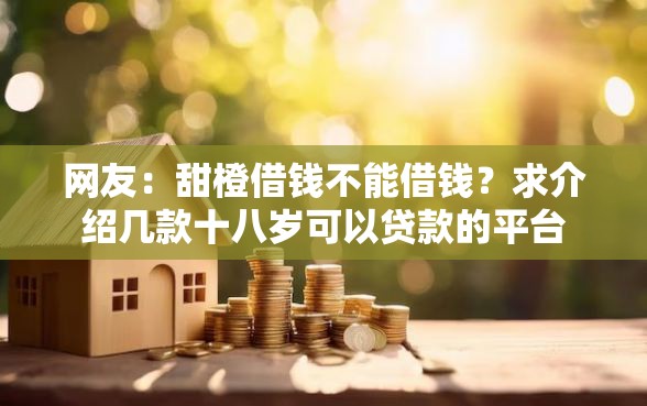 网友：甜橙借钱不能借钱？求介绍几款十八岁可以贷款的平台