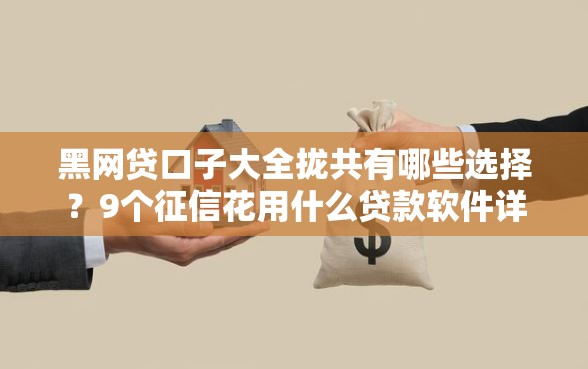 黑网贷口子大全拢共有哪些选择?9个征信花用什么贷款软件详解 黑网贷口子大全拢共有哪些选择?9个征信花用什么贷款软件详解