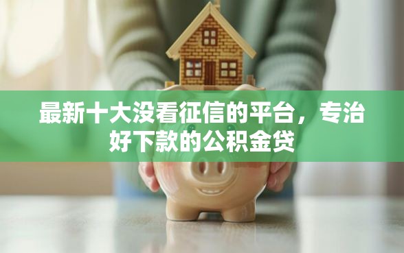 最新十大没看征信的平台，专治好下款的公积金贷