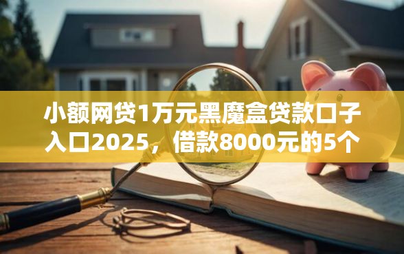 小额网贷1万元黑魔盒贷款口子入口2025，借款8000元的5个平台介绍