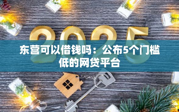 东营可以借钱吗：公布5个门槛低的网贷平台