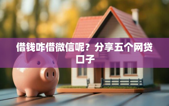 借钱咋借微信呢？分享五个网贷口子