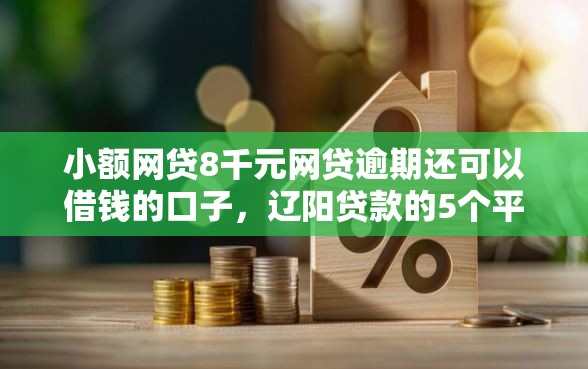小额网贷8千元网贷逾期还可以借钱的口子，辽阳贷款的5个平台介绍